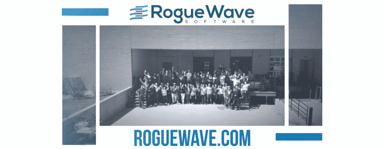Rogue Wave Software Feature Image