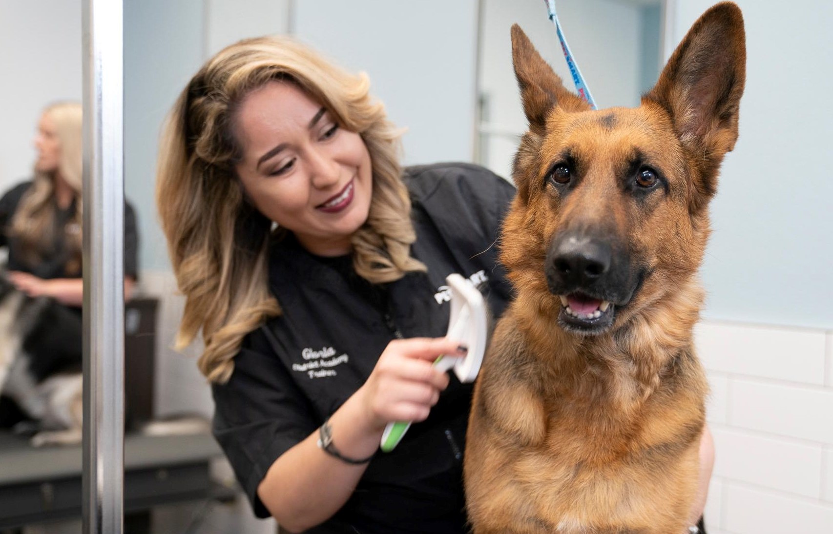 A dog hair removal service at Petsmart